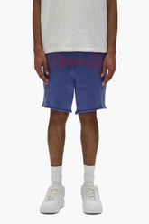 PURPLE BRAND P467 Arched Gothic Sweatshorts at Gravity NYC