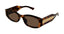 GUCCI-Sunglasses and Opticals