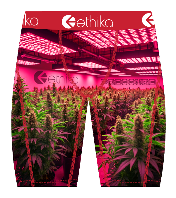 ETHIKA Intimates and Underwear at Gravity NYC