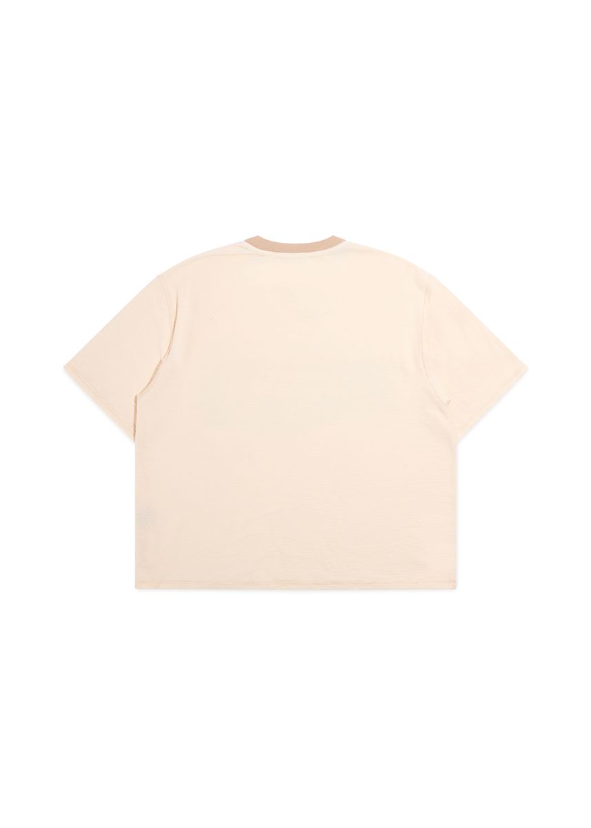 DIET STARTS MONDAY Desertscape Tee Secondary image