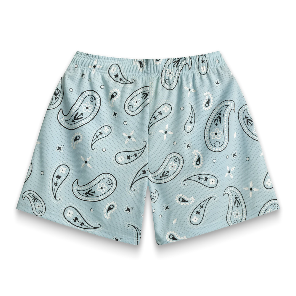 BRAVEST STUDIOS Sky Paisley V3 Shorts - Gravity NYC