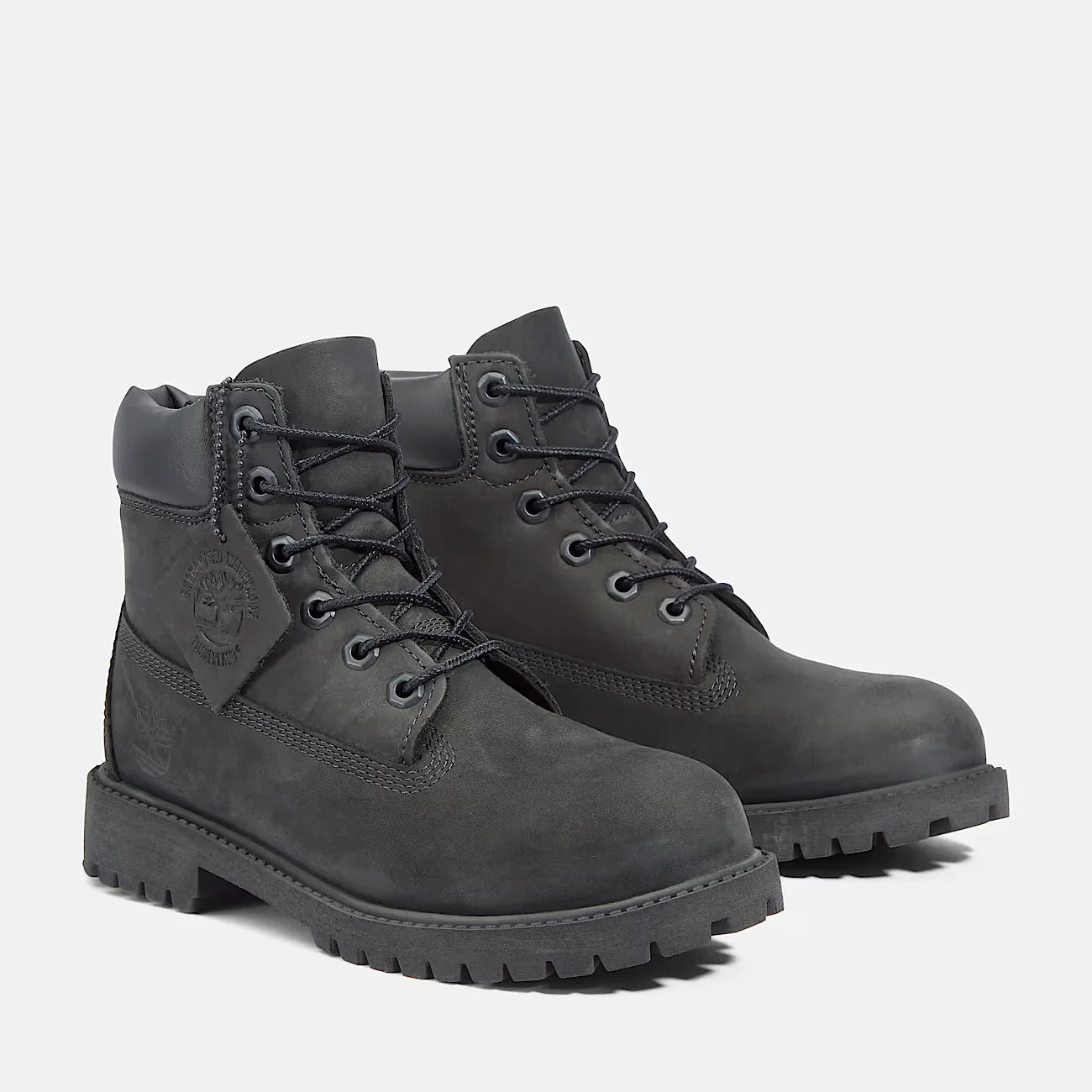 TIMBERLAND Kids' 6-Inch Premium Waterproof Boots