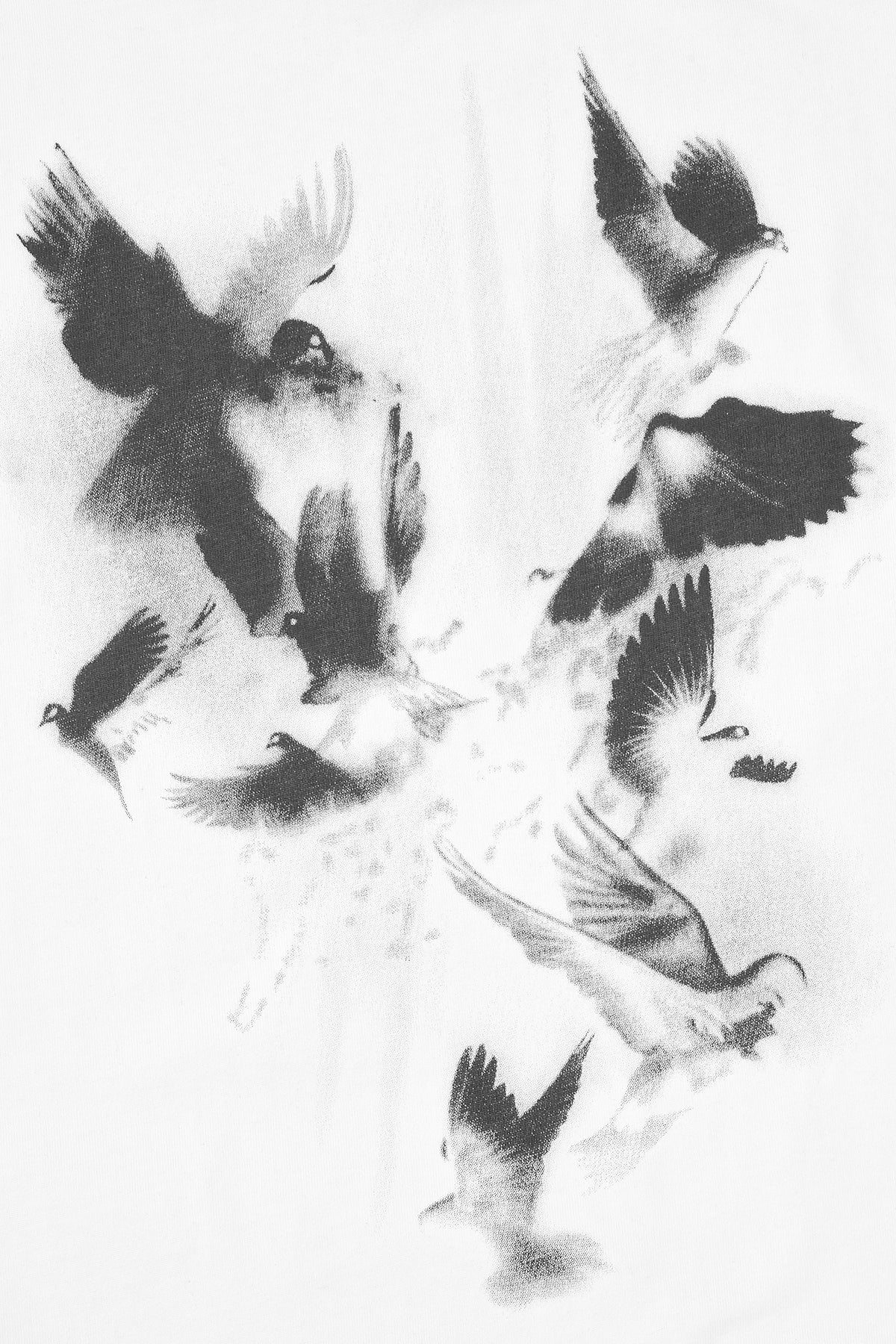 RTA Colin White Doves Back Tee - Gravity NYC