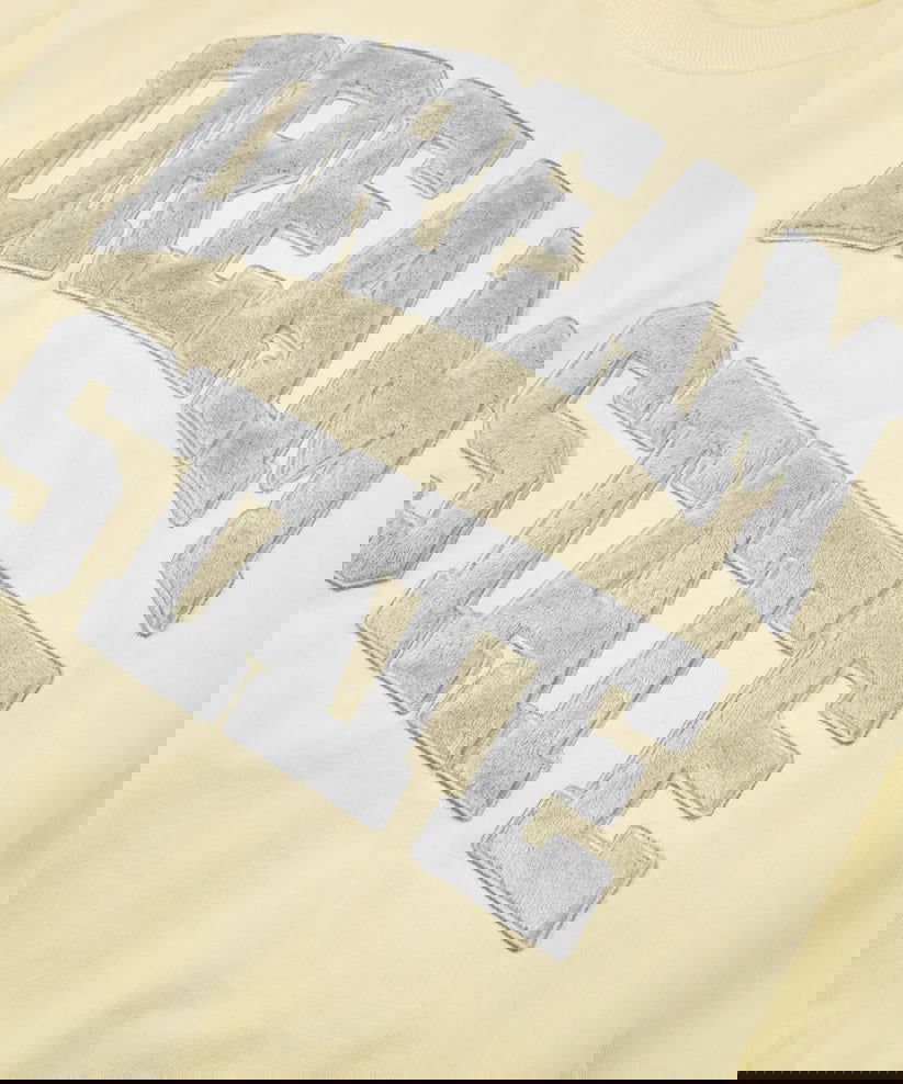 PAPER PLANES Dream State Crewneck - Gravity NYC