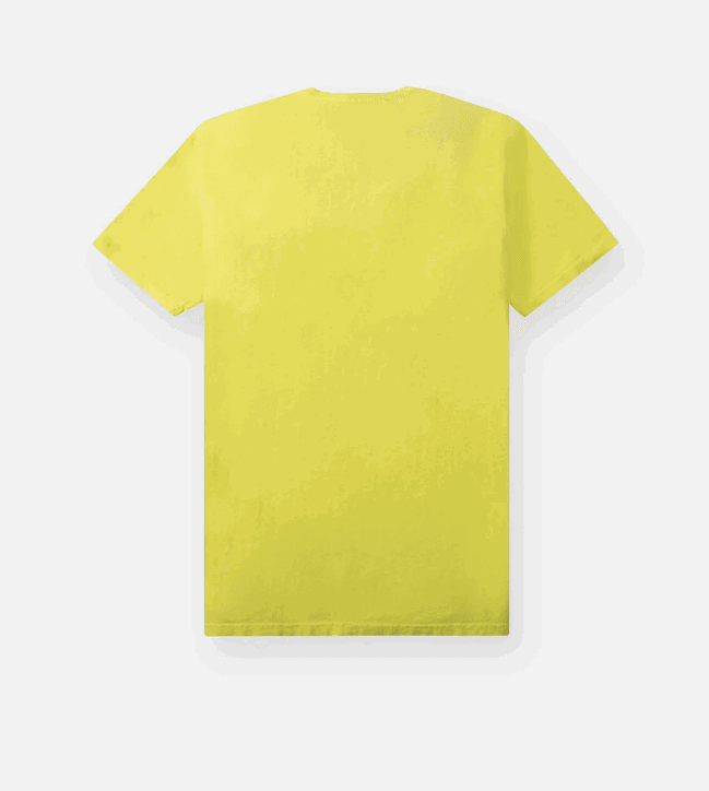 PAPER PLANES Land Tee - Gravity NYC