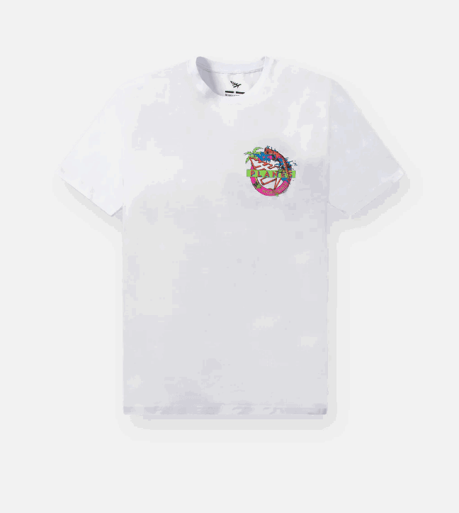 PAPER PLANES Rad Days Tee Gravity NYC