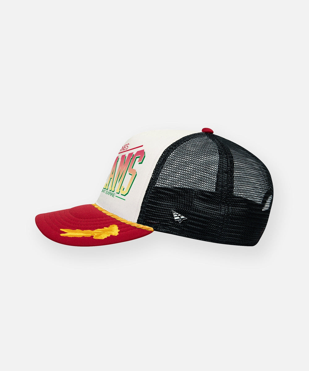 PAPER PLANES Dreams Don't Expire Trucker - Gravity NYC