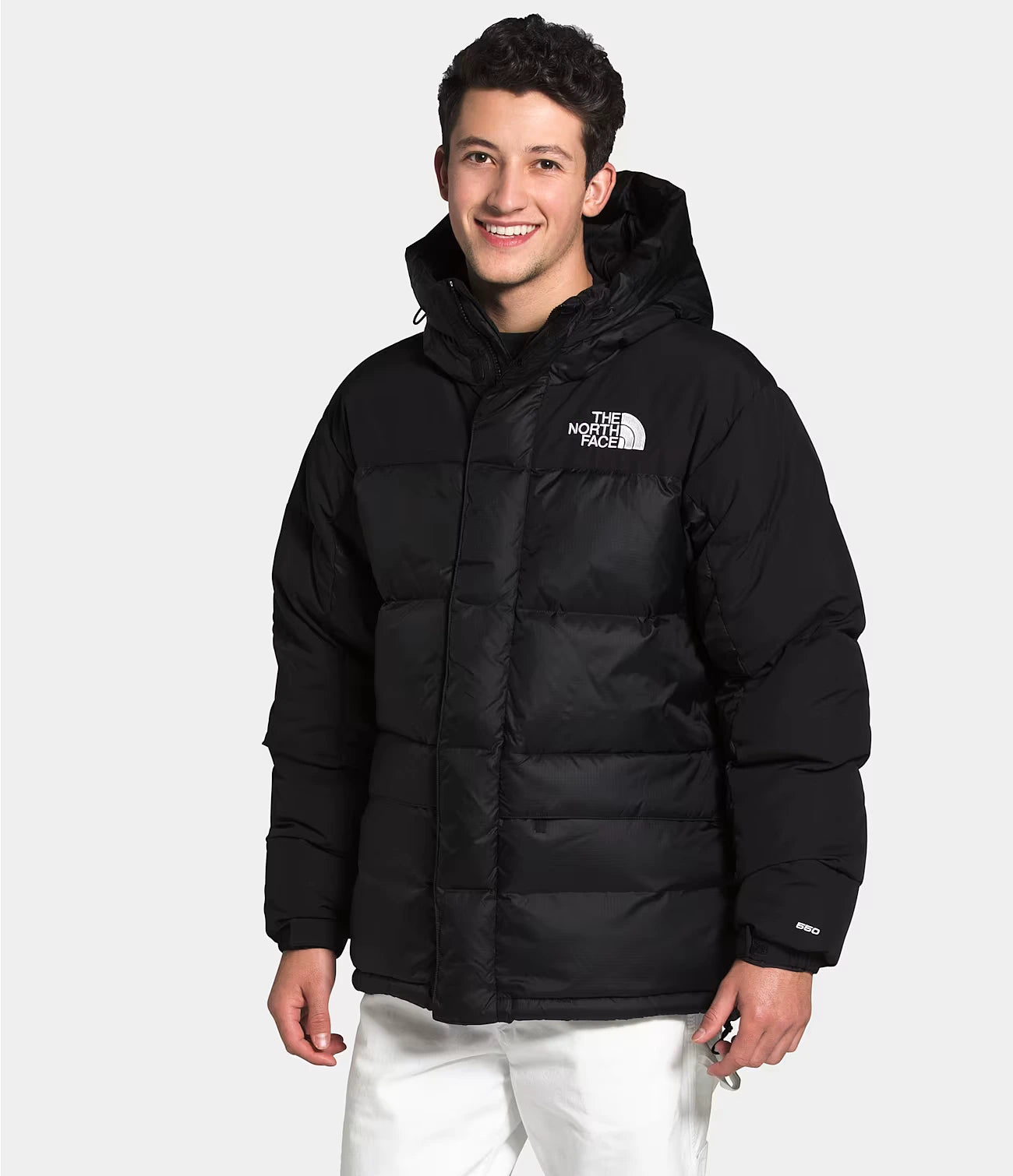 THE NORTH FACE Men's HMLYN Down Parka Black Gravity NYC