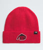 THE NORTH FACE Logo Box Cuffed Beanie - Gravity NYC