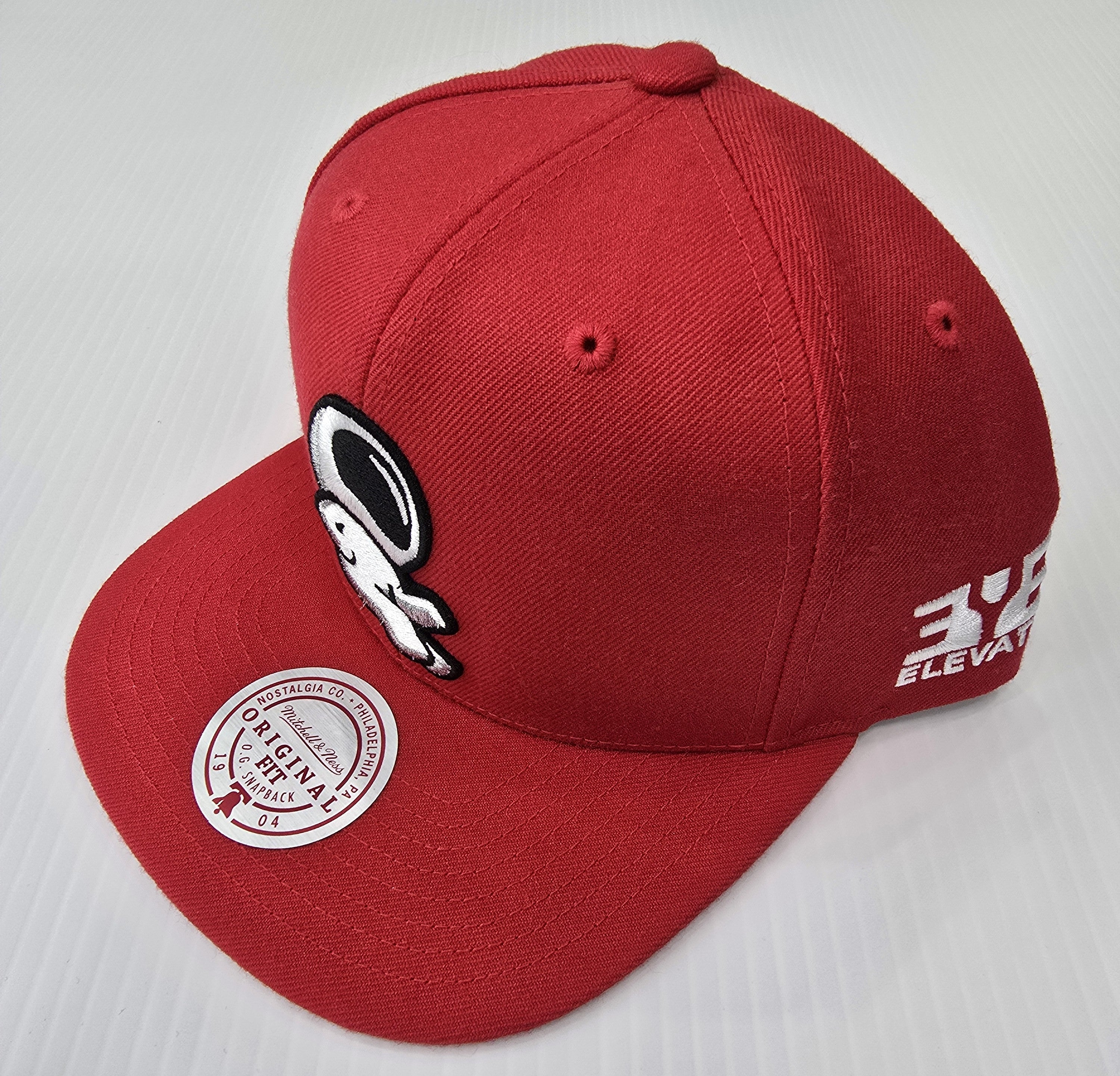 ELEVATE YOUR ENERGY-Snapback Hats