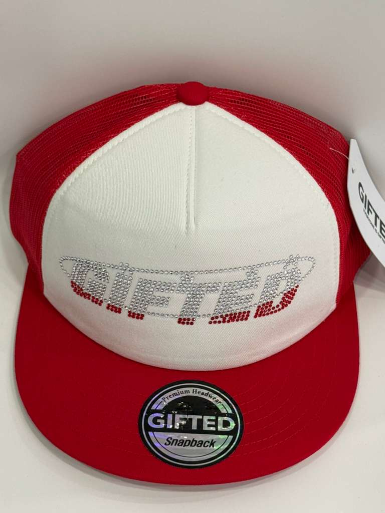 EVERYONE IS GIFTED-Trucker Hats