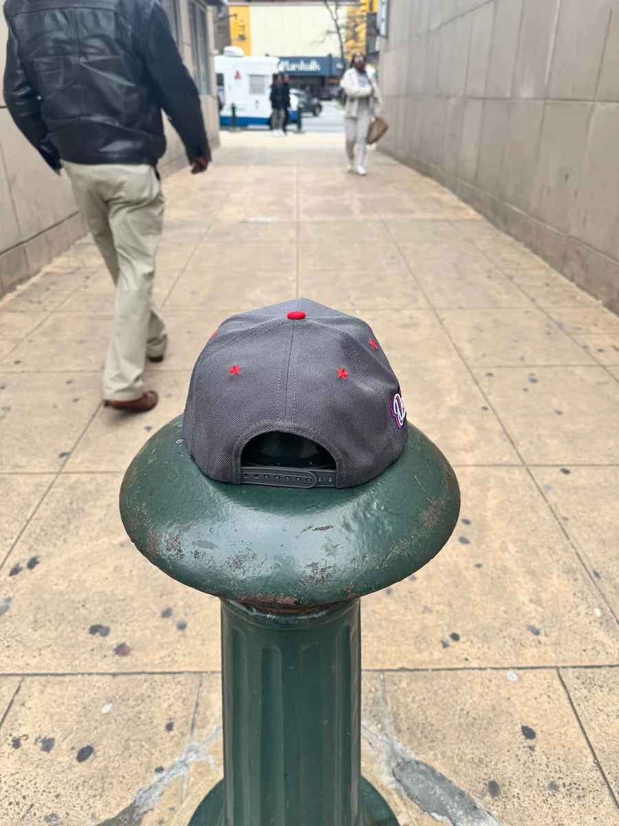 GORGEOUSBUM GB 2 Pigeons Snapback Secondary image