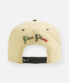PAPER PLANES-Snapback Hats