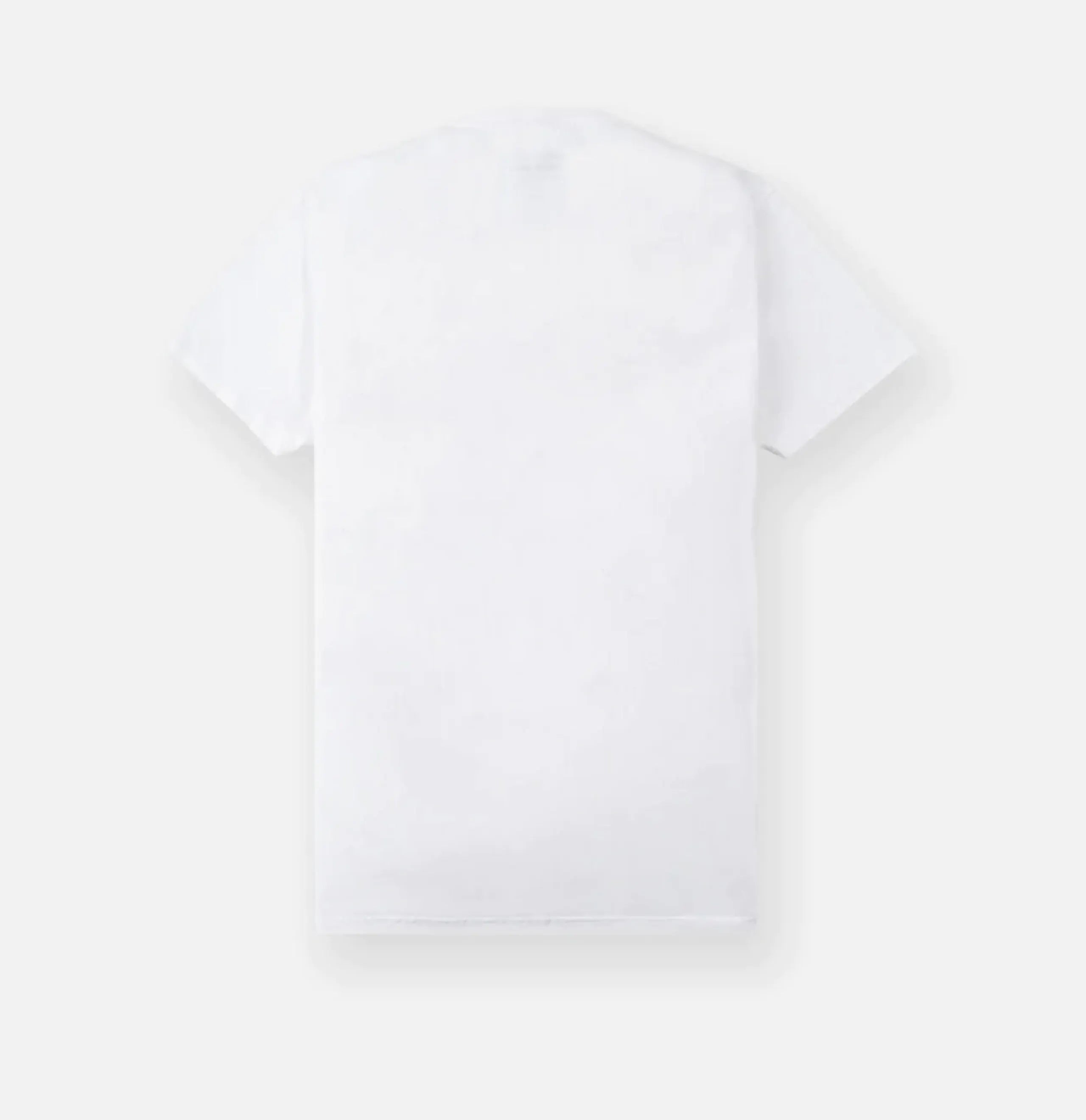 PAPER PLANES PATH TO GREATNESS LOGO TEE - Gravity NYC
