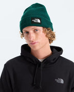 THE NORTH FACE-Beanies and Scullies