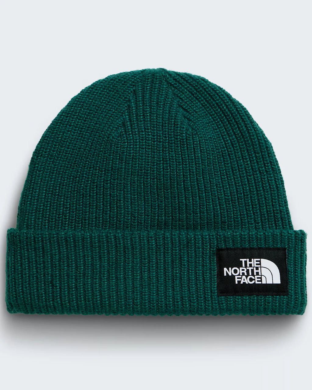 THE NORTH FACE-Beanies and Scullies