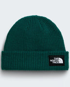 THE NORTH FACE-Beanies and Scullies