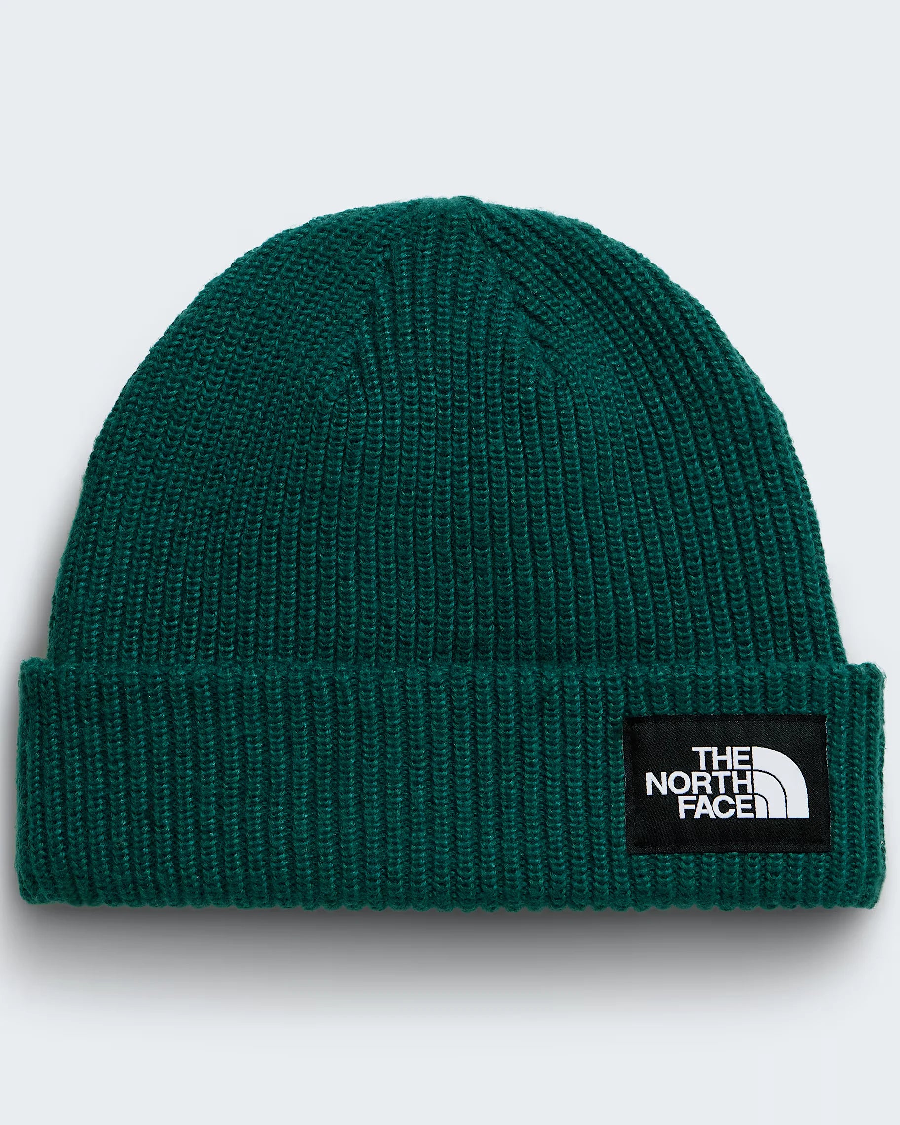 THE NORTH FACE-Beanies and Scullies