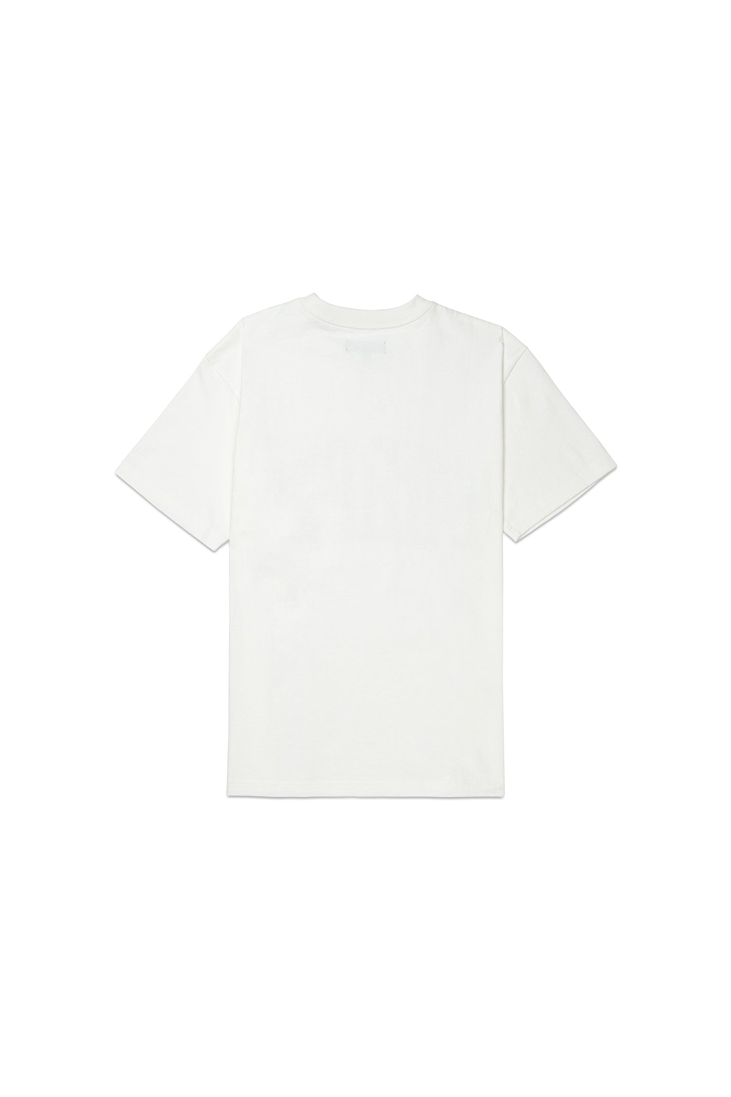 PURPLE BRAND P117 Collegiate T-Shirt (White)